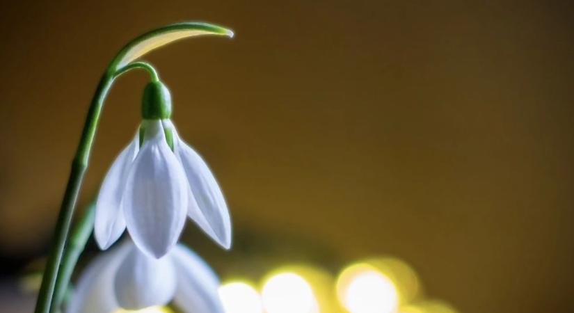 Borult, csapadékos idő várható – helyenként havazás és eső