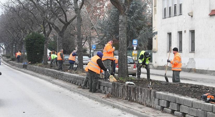 Jön a tavasz, kezdődik a virágültetés Fehérváron