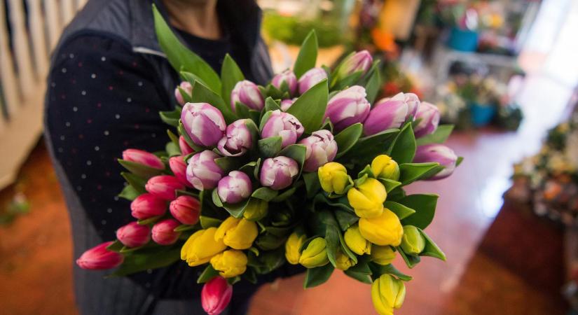 Valentin-napi ellenőrzés-sorozatba kezd a NAV