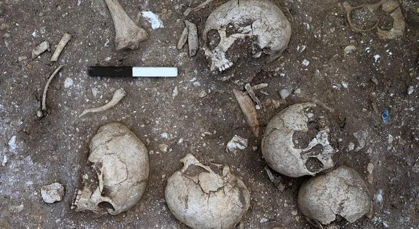 Agyműtött óriást, csonkolt hullákat rejtett a viking tömegsír