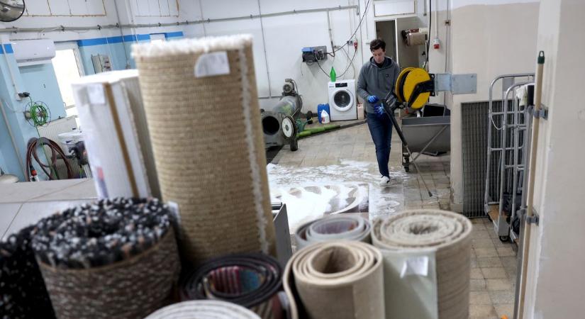 Egy szeméttelep rejtőzhet a szőnyegedben - mutatjuk miért