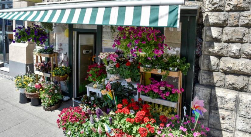 A NAV megkezdte Valentin-napi akcióját