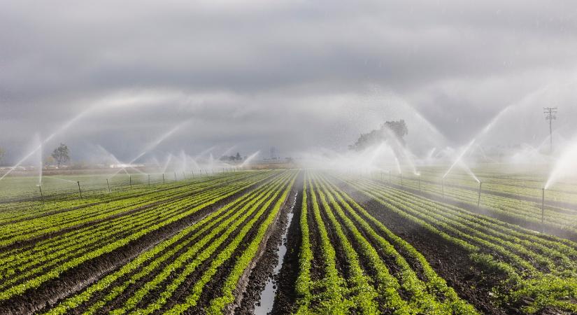 Tavaly nyárra ígérték, idén tavasszal elkezdődhet az ország legfontosabb mezőgazdasági beruházása