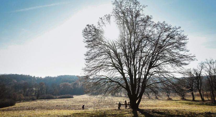 Isten hozott Vasban! Először figyelték meg az impozáns megjelenésű kuhit
