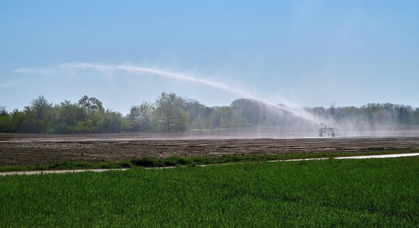 Most dől el, milyen öntözési képzések indulnak Szarvason