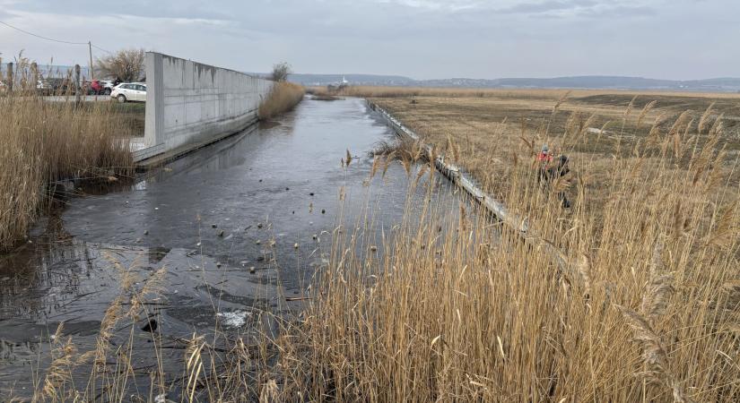 „Ide már csak a katasztrófaturisták jönnek” – emlékséta a Fertő tónál