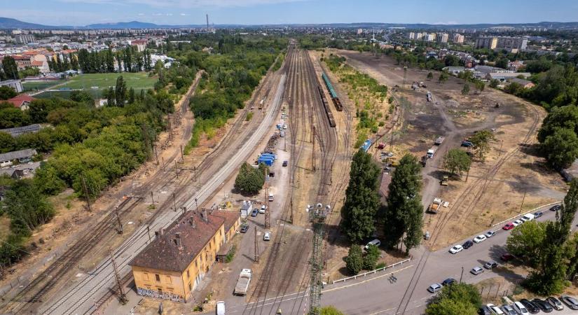 Rákosrendező: Vitézy Dávid a friss fejleményekről posztolt