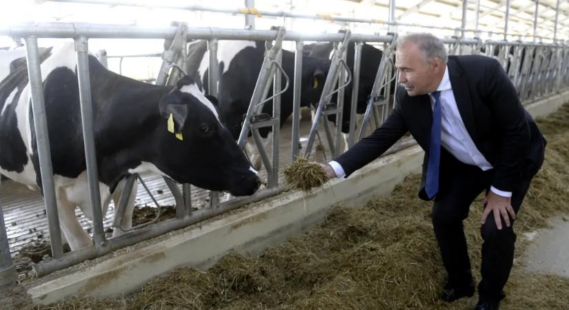 Állami támogatással próbálják egyenesbe hozni a tejpiaci válságban érintett magyar termelőket