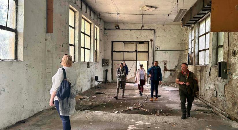 Fesztiválhelyszín vagy közösségi kert? Indul a Rákosrendező átmeneti hasznosításának tervezése