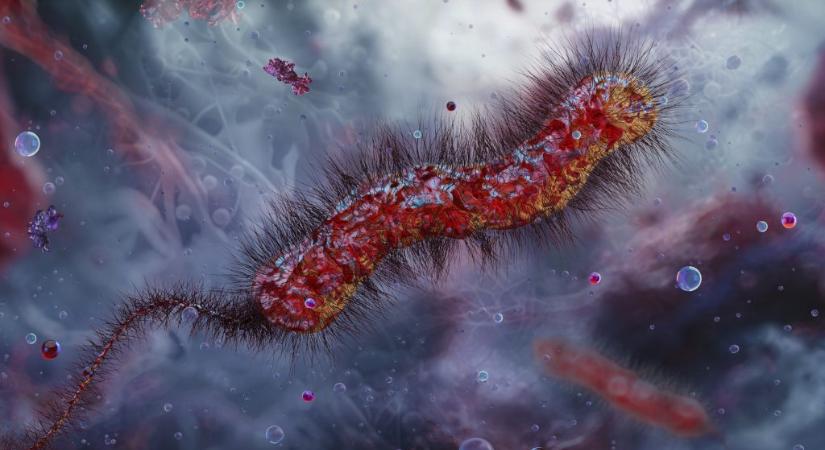 Kolerával küzdenek az orvosok a rák ellen