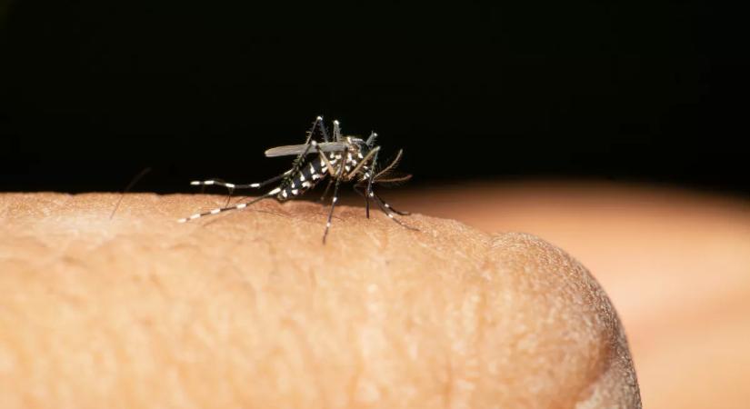 Riadót fújnak a hatóságok: egy 59 éves magyar nő is elkapta veszélyes vírust