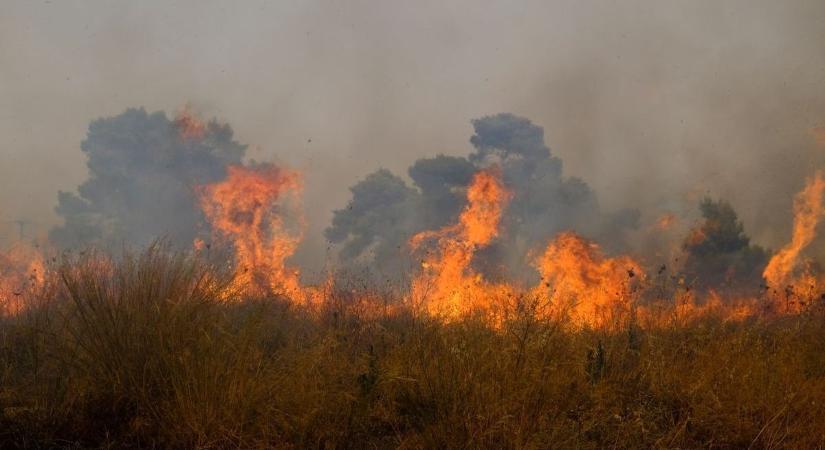 Növényi hulladék égett Gencsapáti közelében