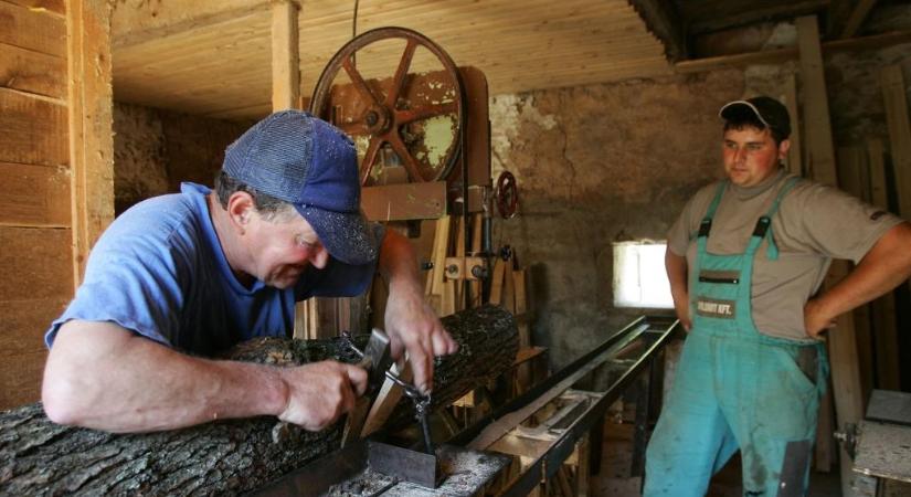 Nyugdíjas vs. kiegészítő tevékenységet folytató: útvesztők, igazodási pontok a biztosítási kötelezettség meghatározásakor