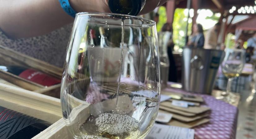 Kína menti meg a szerbiai bort is?