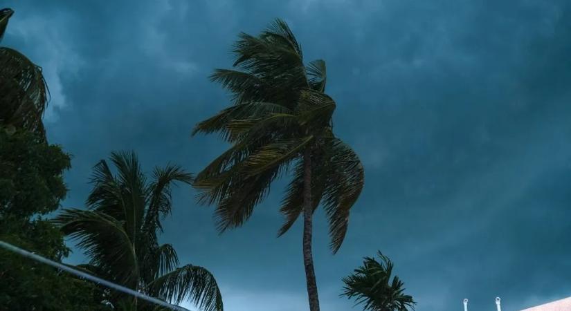 Fákat döntött ki a vihar Hawaiin – videón a pusztítás