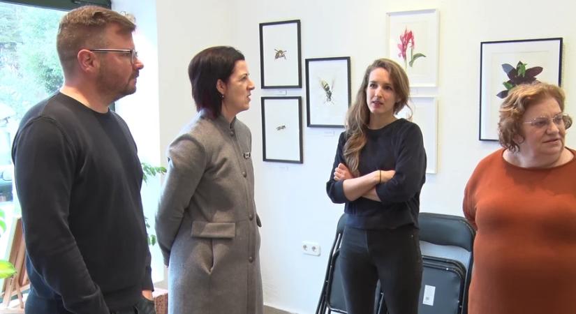 Folytatódhat a galéria működtetése közösségi összefogással