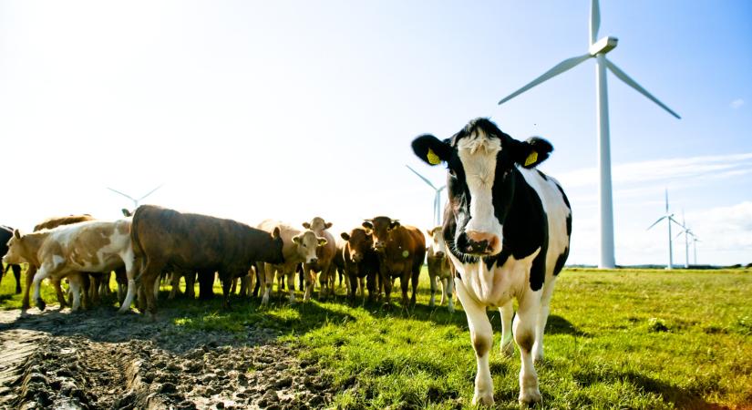 A túlélés záloga az alkalmazkodás: így menekülhet meg a magyar agrárium és élelmiszeripar