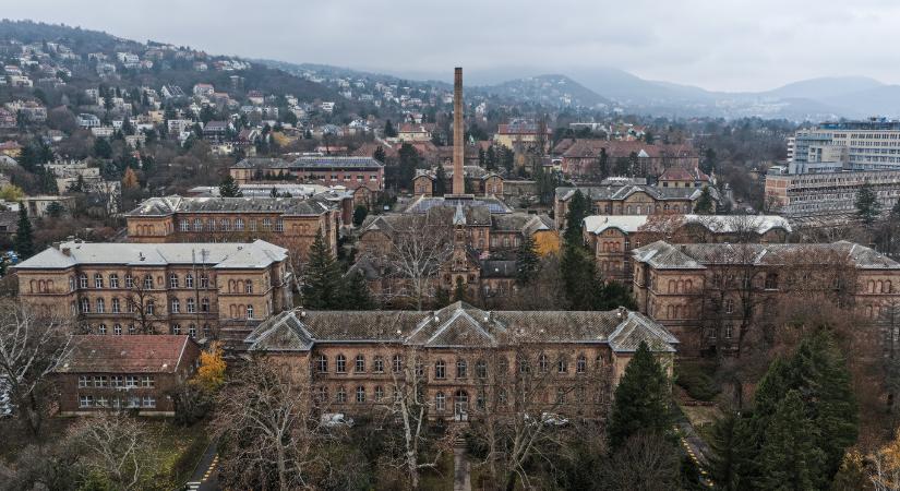 Csőtörés miatt szennyvíz ömlött a plafonból, lezárták a fül-orr-gégészeti ambulanciát a Szent János Kórházban
