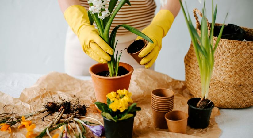 A tavasz frissessége az otthonodban: 7 üde dekorötlet, amit már februárban kipróbálhatsz