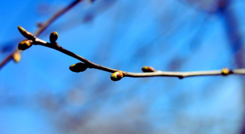 Ebből baj is lehet: szokatlanul erős felmelegedés éri el Szlovákiát