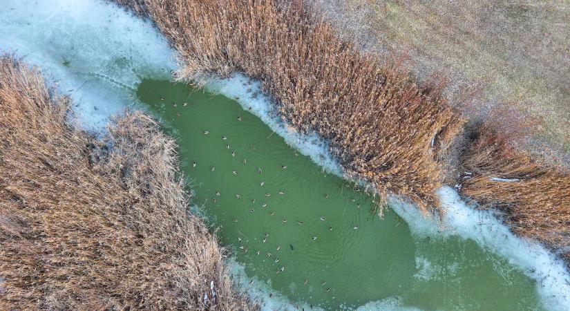Marad az enyhe idő, de figyelni kell az utakon!