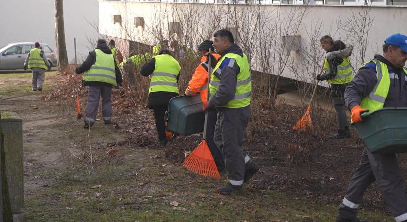 Elkezdődtek a gallyazási munkálatok