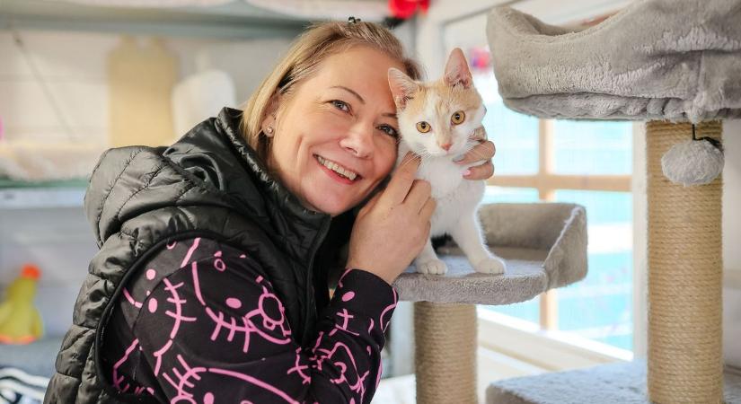 Puha Praclik: Ők most még csak várnak, de gazdival lenne teljes az életük