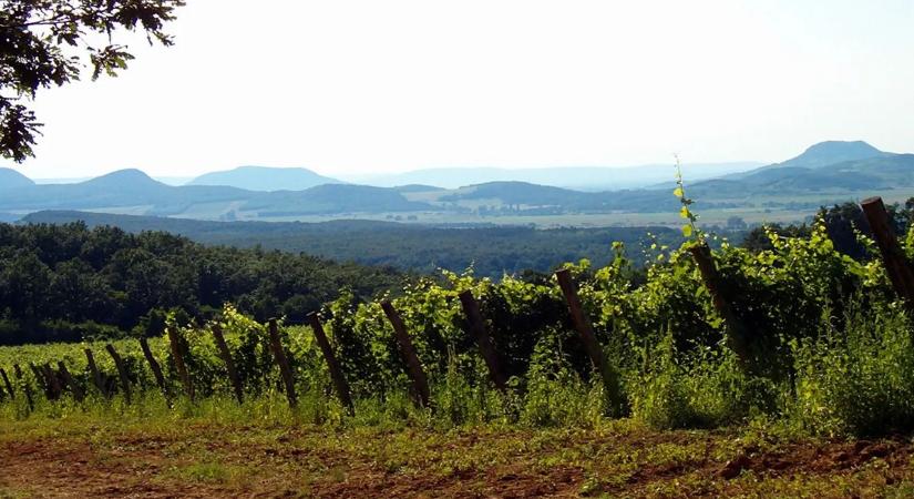 Tudta, hogy a Badacsony Afrikában van? Őrületes tények a tanúhegyekről