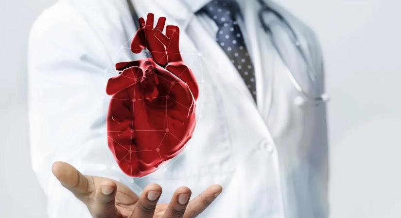 Nem annyi, mint az életkorod: így deríthető ki a szív valódi kora