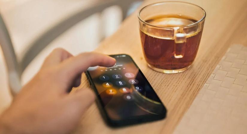 Lustasága mentette meg a bloggert a bajtól