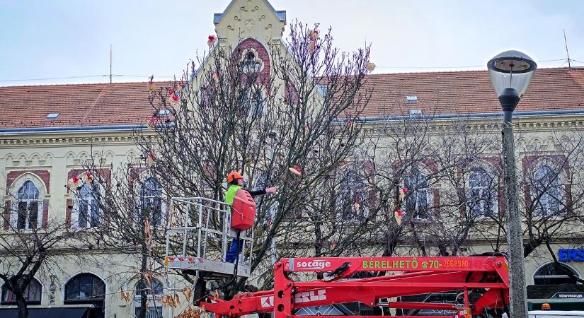 Bálint-napi dekorációt kapott a város központja (videó)