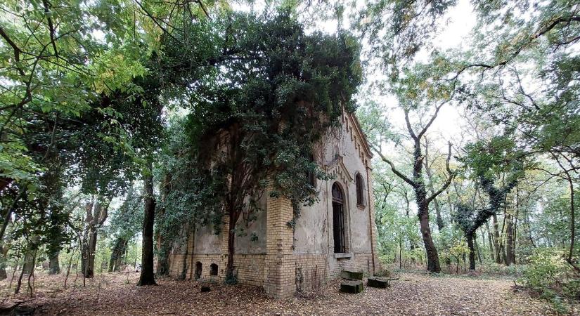 Szétvert sírok, omladozó falak: megdöbbentő képeken az elfeledett vármegyei kúria