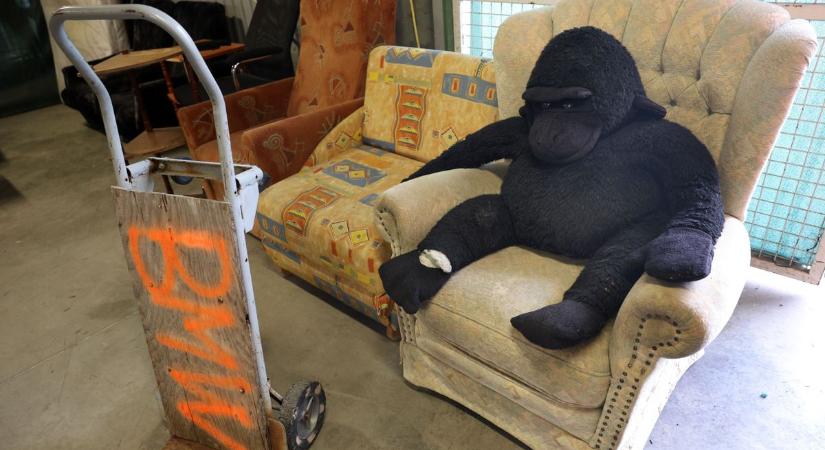 Elképesztő kincseket rejt a kaposvári hulladékudvar