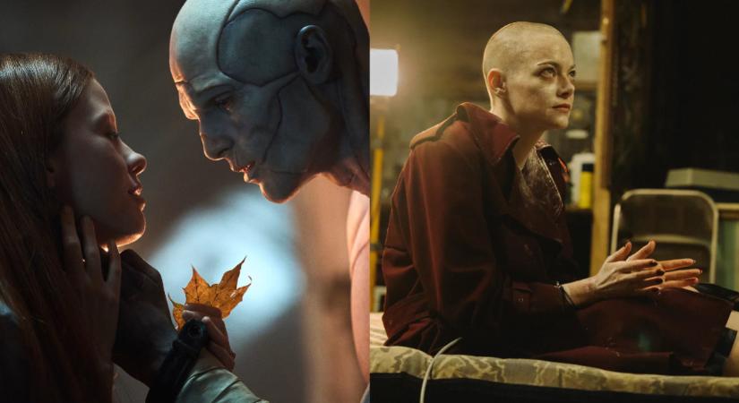 12 Oscar-jelölt film, amit már most megnézhetsz a streaming oldalakon