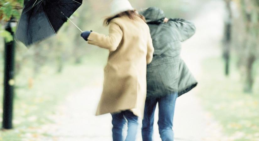 Ekkor jön az enyhülés, az időjósok bejelentették a dátumot, de figyelmeztettek is minket egy fontos dologra – időjárás-előrejelzés