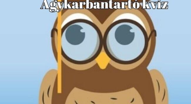 Agypörgető kvíz - Csak a legokosabbak szereznek legalább 6 pontot ezen az agykarbantartó kvízen