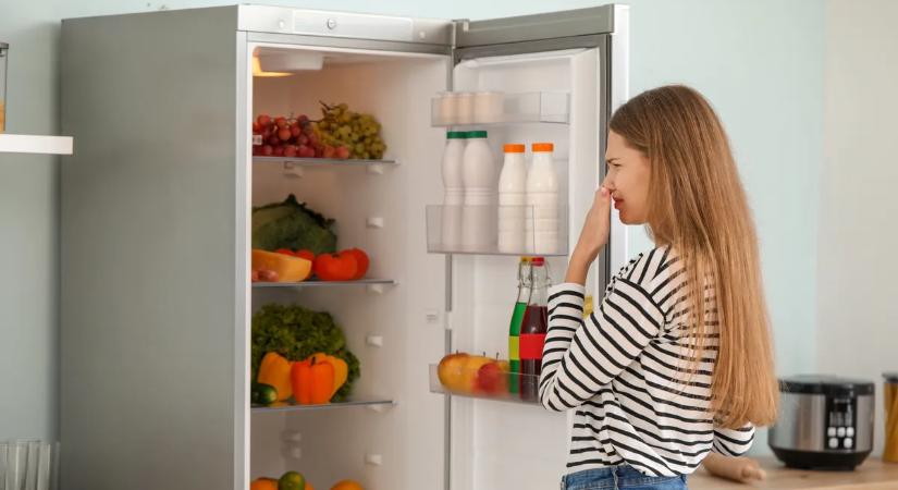 Büdös a hűtőd és a szódabikarbóna sem segít? Ez a trükk tízszer hatásosabb