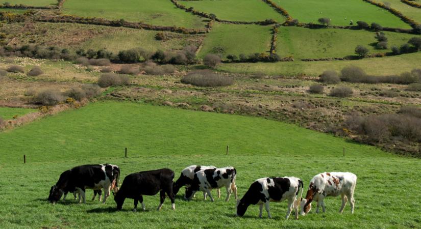 Így próbáltak lenyúlni egy földterületet Magyarországon: csúnyán lebuktak