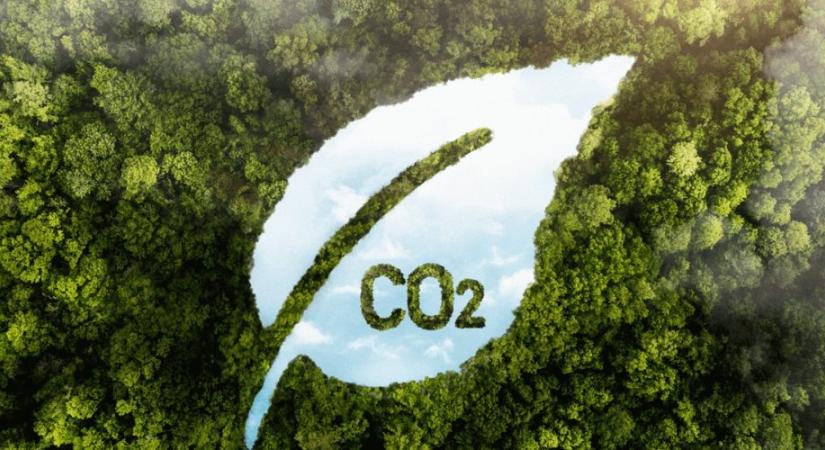 Az EU 90%-kal akarja csökkenteni a növények táplálékát, a széndioxidot