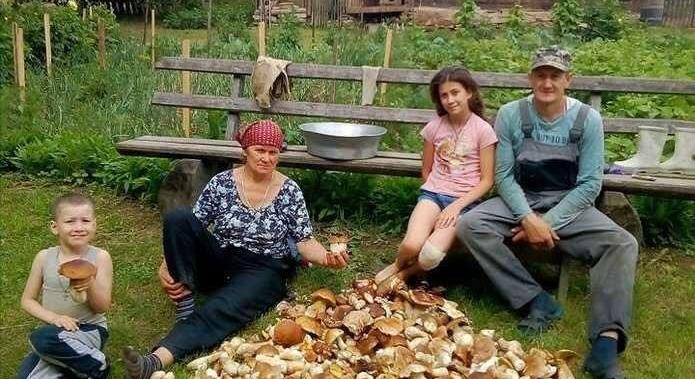 Menü a tajgában – A nap képe