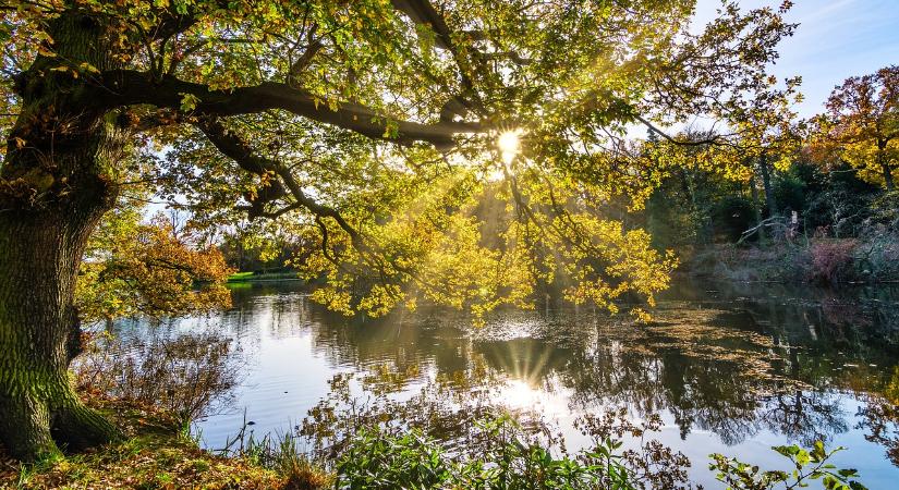 Az ország ezen térségén ma napsütés lesz – mutatjuk, hol!