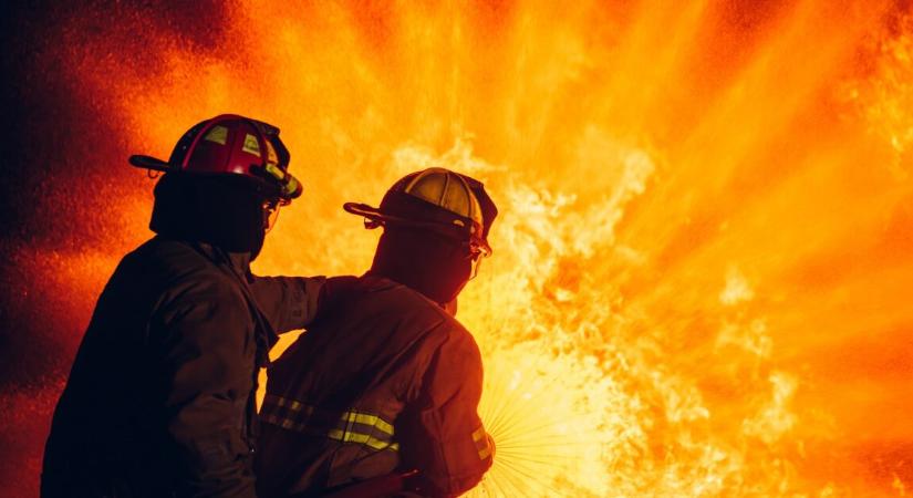 Egy mókus rágta át a vezetékeket, majd porig égett egy család otthona