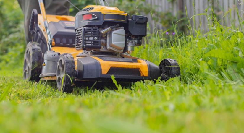 Utálsz füvet nyírni? Akkor ennek nagyon fogsz örülni!