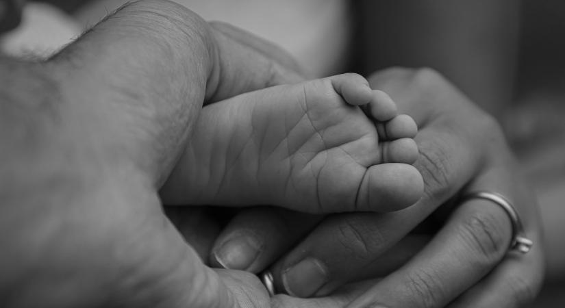 Jó reggelt, Fejér vármegye!