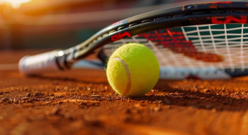 Sakk-matt a Szerb Teniszszövetségnek?