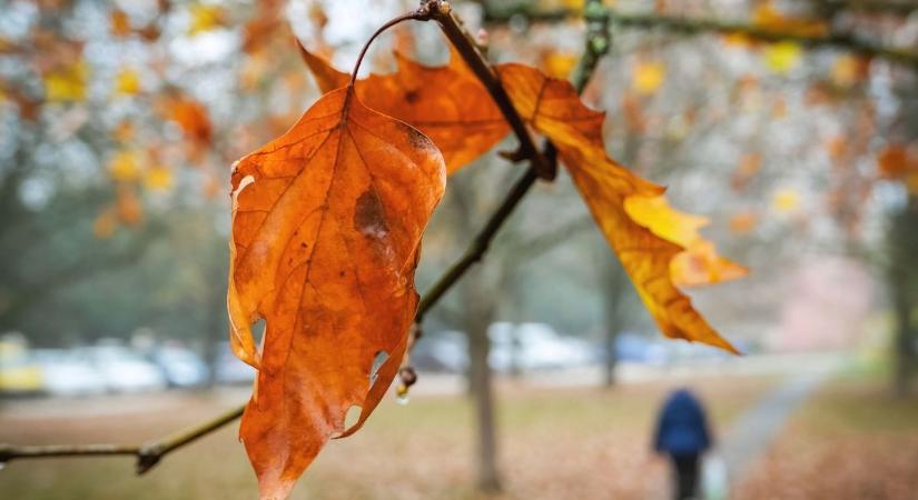 Most ez komoly? Tegnap még hideg, ma meg dobjuk le a pulcsit?