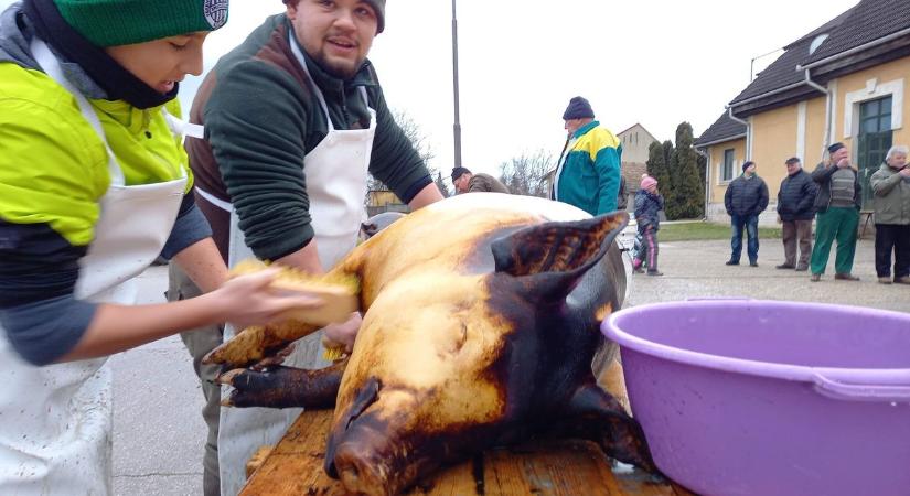 Disznólkodásra hívják kocsiakat szombaton