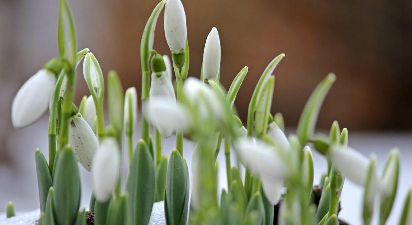Csapadékos, de enyhe idő várható szerdán