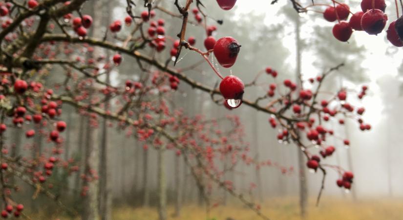 Kiadták a figyelmeztetést 4 megyére: ha itt laksz, erre fel kell készülnöd ma