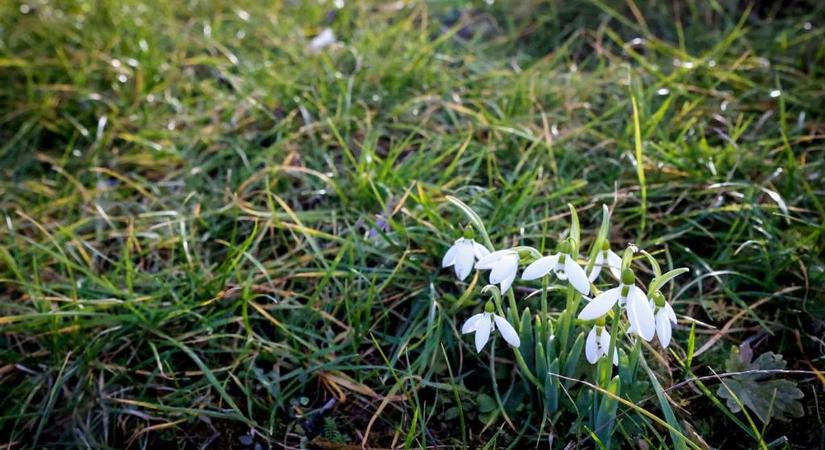 Fotózd le, ha magaddal akarod vinni!